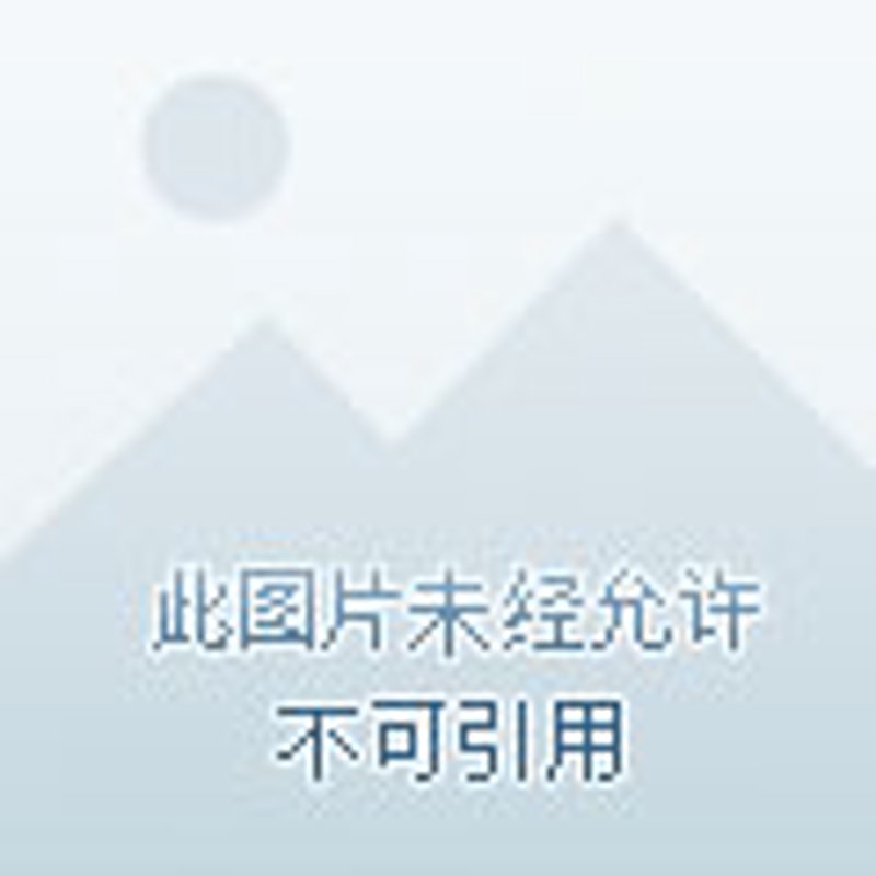 笔记神器:免费软件让你轻松管理知识